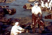 /album/fotogaleria-galeria/fotos-prezi-comprimidas-52-jpg1/